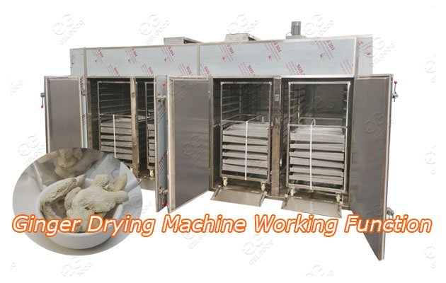 Ginger Drying Machine Working Function