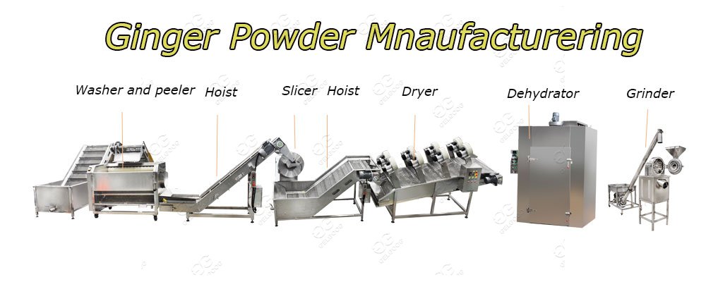 ginger powder processing manufacturer