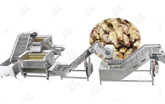 Ginger Powder Manufacturing Business Making Ginger Powder