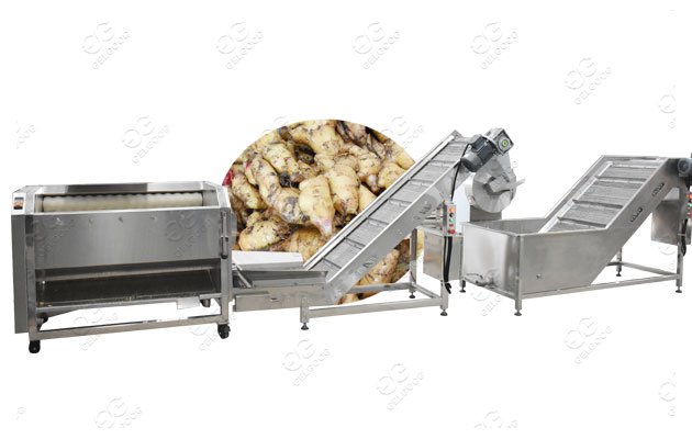 Ginger Powder Manufacturing Business Making Ginger Powder