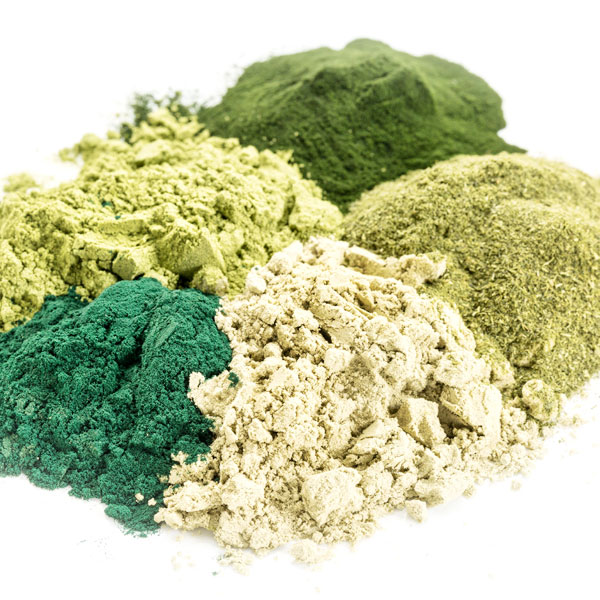 Moringa leaf powder application