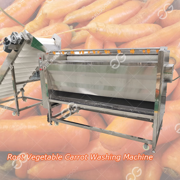 processing root vegetable carrot