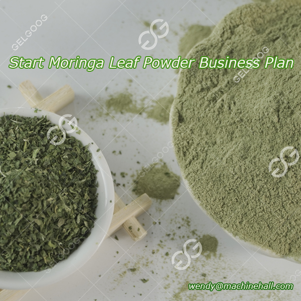 how to start Moringa Leaf Powder Business Plan
