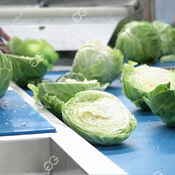 fresh-cut vegetable in our daily life