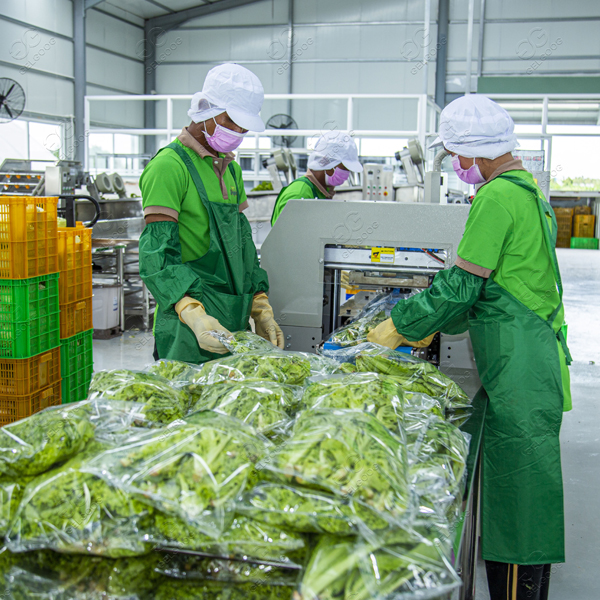Cambodia fresh-cut vegetable factory