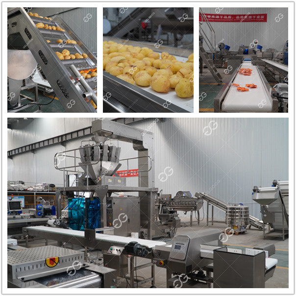 process fresh cut vegetable processing factory