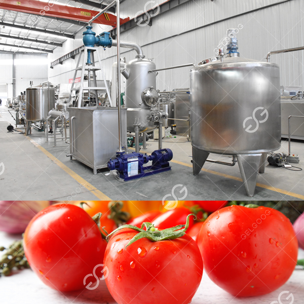 diced tomato paste processing factory