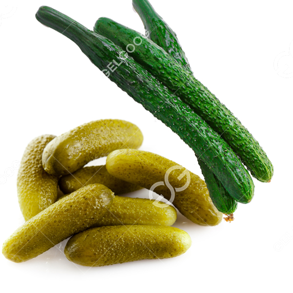 cucumber processing
