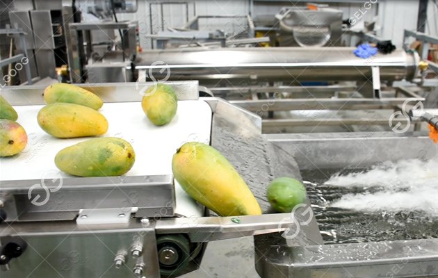 dried mango production process