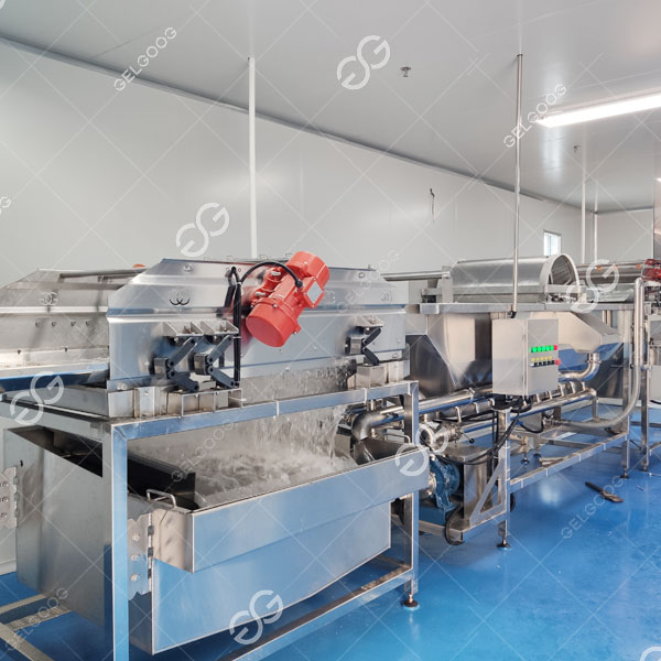 vegetable processing machine brazil