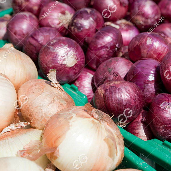 onion processing methods