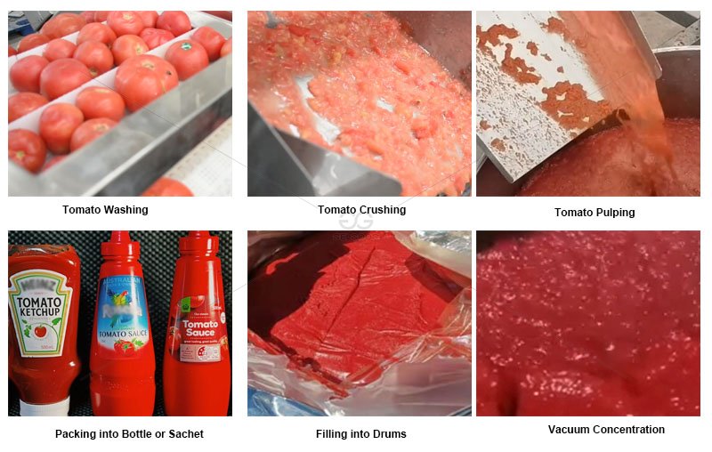 Tomato Paste Manufacturing Process