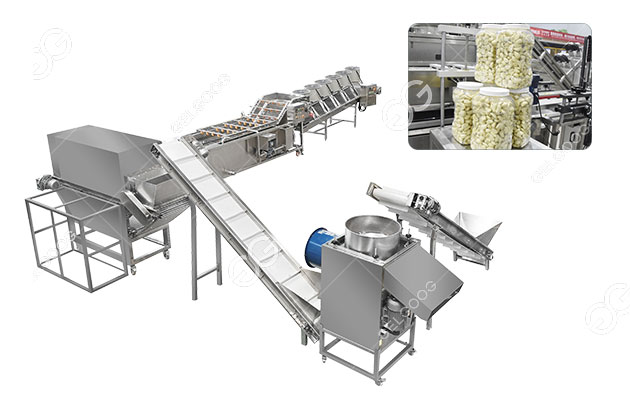 Fully Automatic Garlic Peeling Processing Plant 1000kg/h