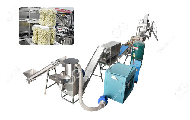 Fully Automatic Garlic Peeling Processing Plant 1000kg/h