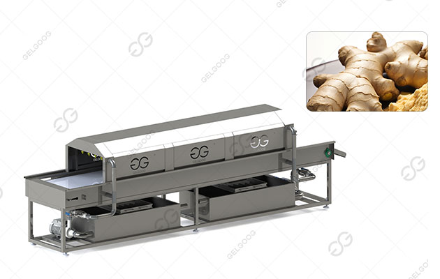 Ginger Washing Line|Ginger Cleaning Line|Ginger Processing Line for Sale