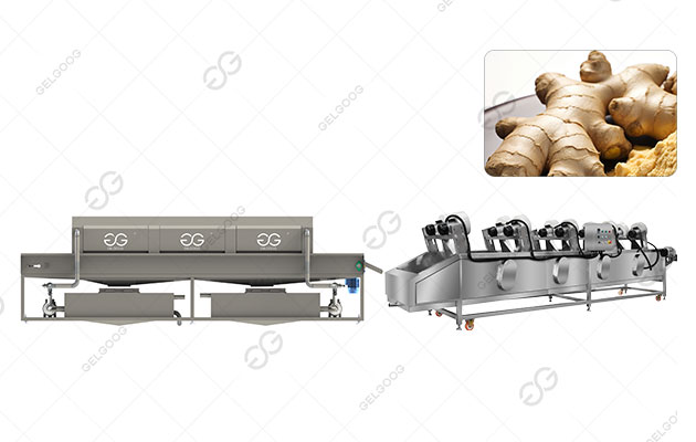 Ginger Washing Line|Ginger Cleaning Line|Ginger Processing Line for Sale